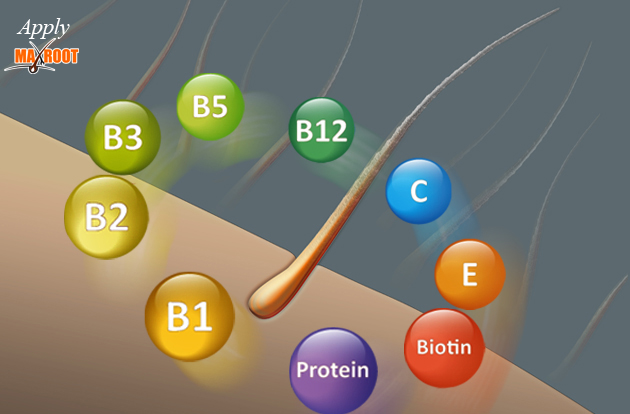 image hair root with vitamins
